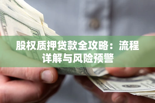 武汉股权质押贷款全攻略：流程详解与风险预警