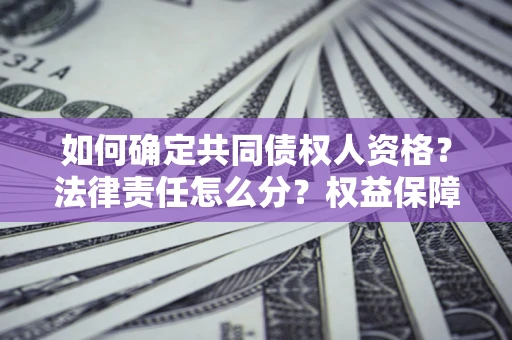 武汉如何确定共同债权人资格？法律责任怎么分？权益保障技巧揭秘！