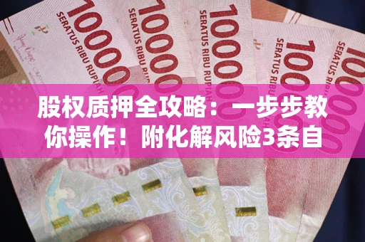 武汉股权质押全攻略：一步步教你操作！附化解风险3条自救法则
