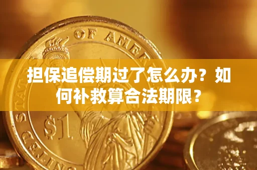 武汉担保追偿期过了怎么办？如何补救算合法期限？