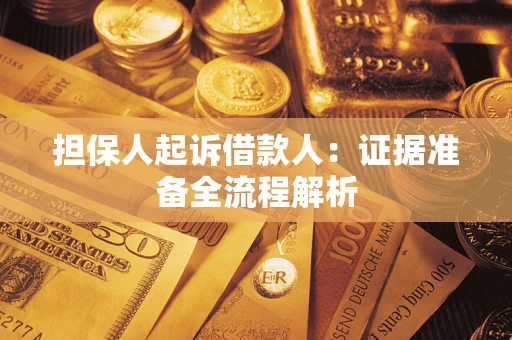 武汉担保人起诉借款人：证据准备全流程解析