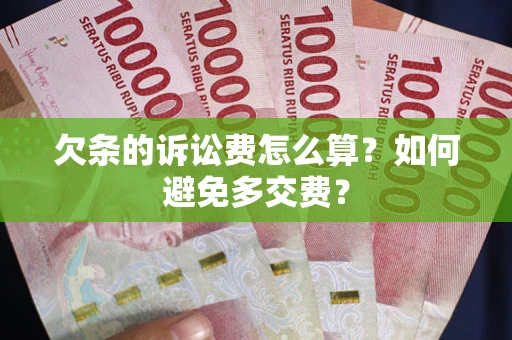 武汉欠条的诉讼费怎么算？如何避免多交费？