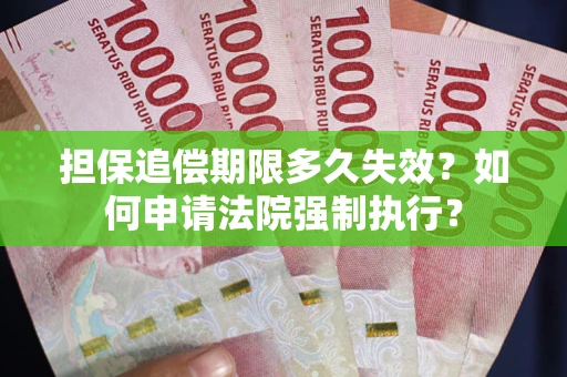 武汉担保追偿期限多久失效？如何申请法院强制执行？