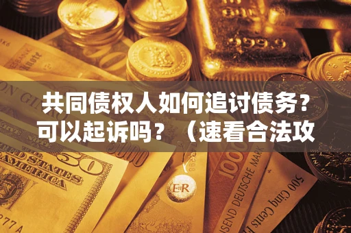 武汉共同债权人如何追讨债务？可以起诉吗？（速看合法攻略）