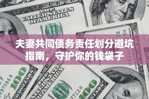 武汉夫妻共同债务责任划分避坑指南，守护你的钱袋子