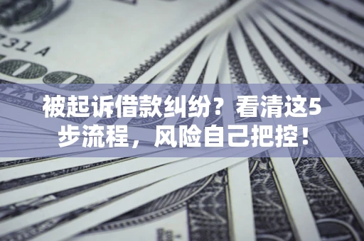 武汉被起诉借款纠纷？看清这5步流程，风险自己把控！