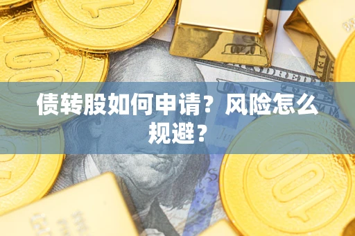 武汉债转股如何申请？风险怎么规避？