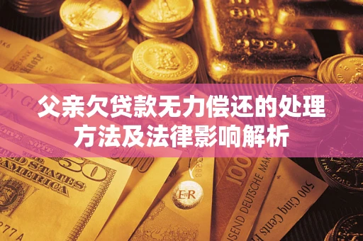 武汉父亲欠贷款无力偿还的处理方法及法律影响解析