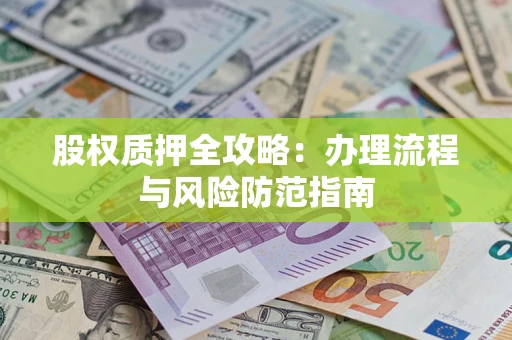 武汉股权质押全攻略：办理流程与风险防范指南