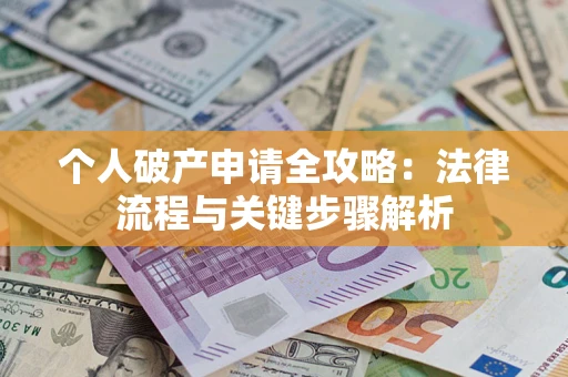 武汉个人破产申请全攻略：法律流程与关键步骤解析