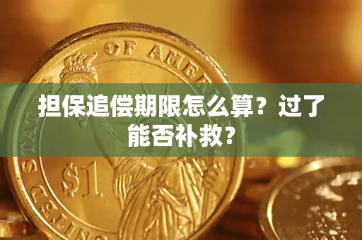武汉担保追偿期限怎么算？过了能否补救？